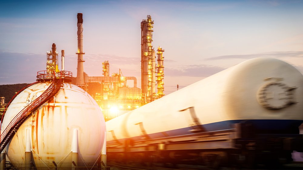 Valorisation des ressources locales